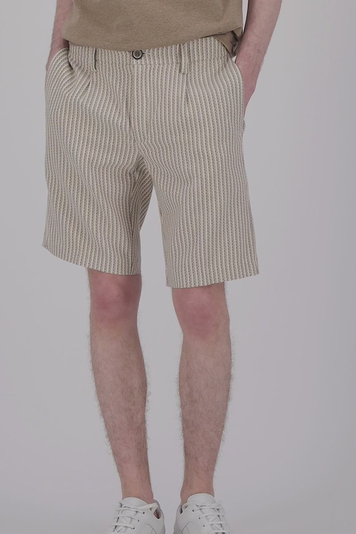Pleats Short Beige Stripes